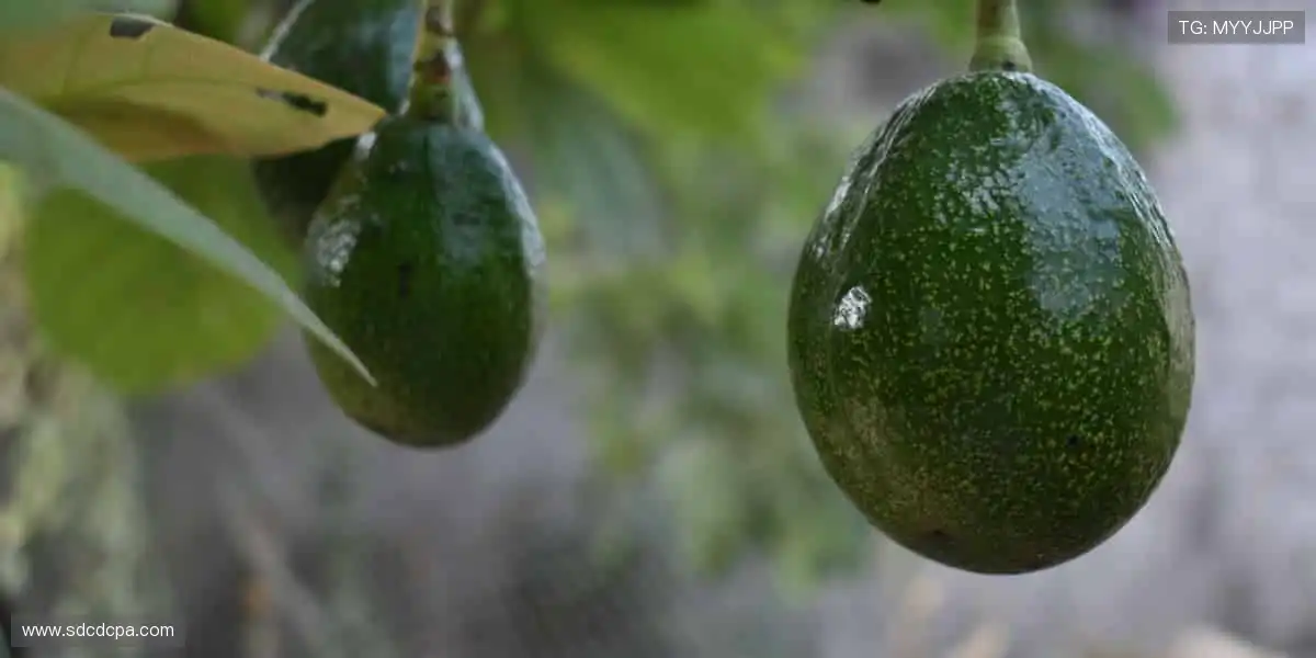 💥潮流装备,让运动与时尚完美碰撞!